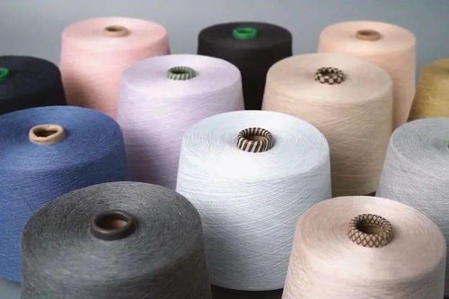 柯橋先行示范之路 瞄準“雙碳”目標，加速綠色轉(zhuǎn)型推動共同富裕